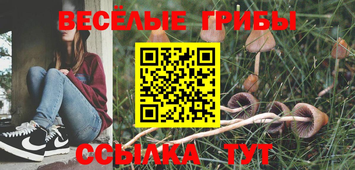 Галлюциногенные грибы мицелий Нижневартовск